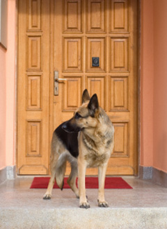 home watch security